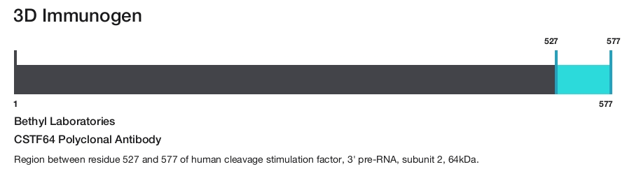 CSTF64 Polyclonal Antibody