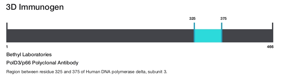 PolD3/p66 Polyclonal Antibody