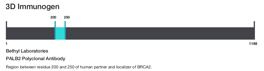 PALB2 Polyclonal Antibody