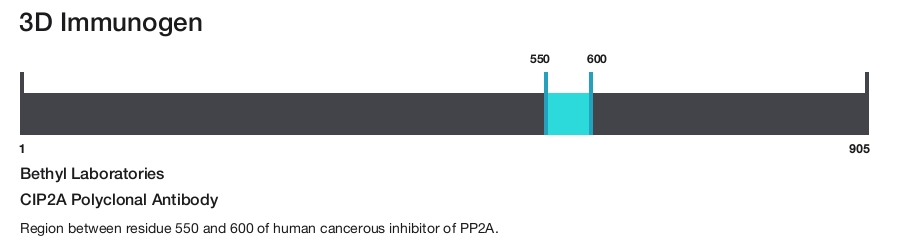CIP2A Polyclonal Antibody