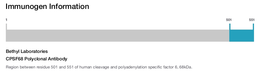 CPSF68 Polyclonal Antibody