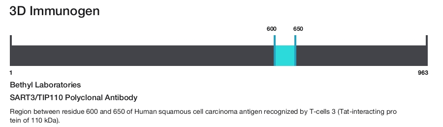 SART3/TIP110 Polyclonal Antibody