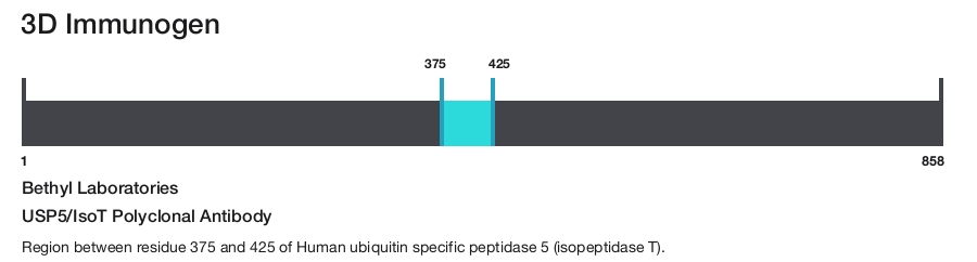 USP5/IsoT Polyclonal Antibody