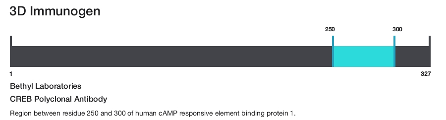 CREB Polyclonal Antibody