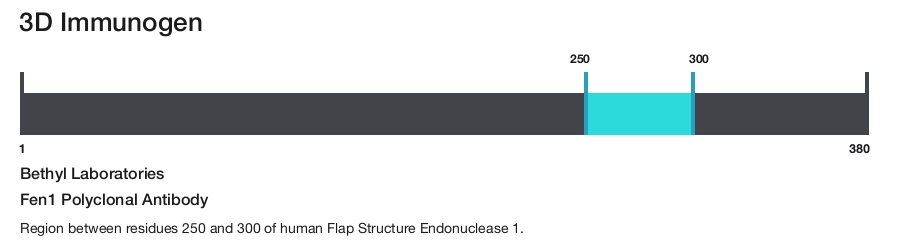 Fen1 Polyclonal Antibody