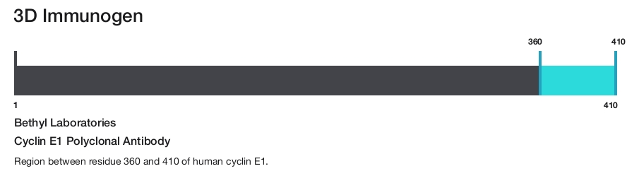 Cyclin E1 Polyclonal Antibody