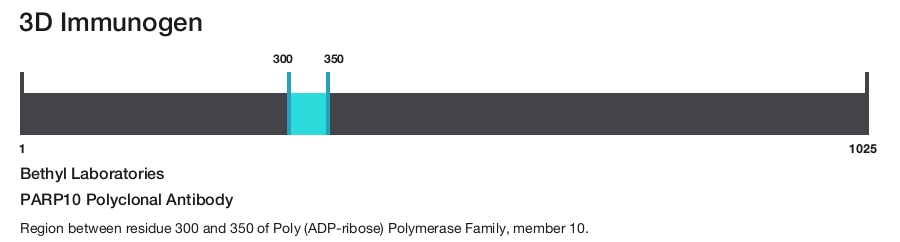 PARP10 Polyclonal Antibody