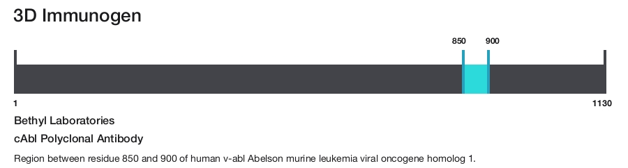 cAbl Polyclonal Antibody