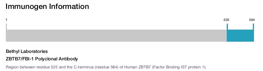 ZBTB7/FBI-1 Polyclonal Antibody