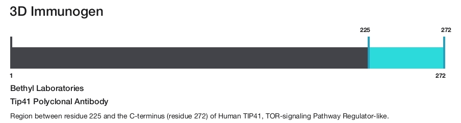 Tip41 Polyclonal Antibody