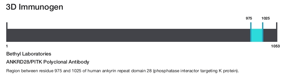 ANKRD28/PITK Polyclonal Antibody