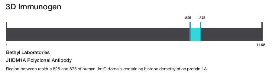 JHDM1A Polyclonal Antibody