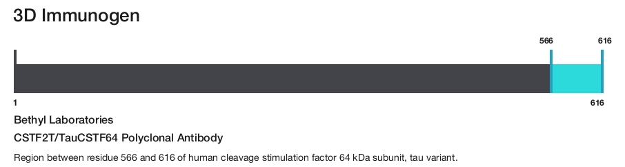 CSTF2T/TauCSTF64 Polyclonal Antibody