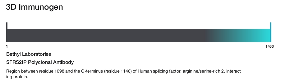 SFRS2IP Polyclonal Antibody