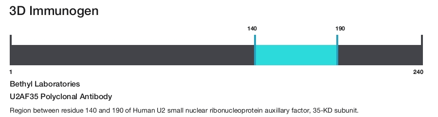 U2AF35 Polyclonal Antibody