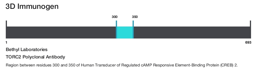 TORC2 Polyclonal Antibody