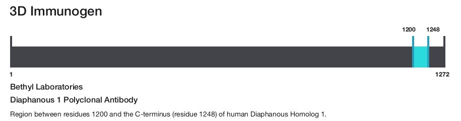 Diaphanous 1 Polyclonal Antibody