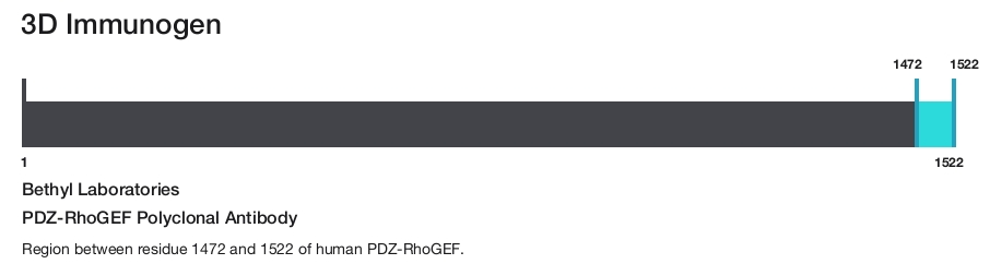 PDZ-RhoGEF Polyclonal Antibody