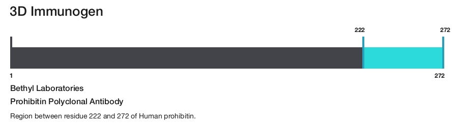 Prohibitin Polyclonal Antibody