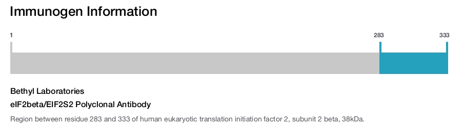 eIF2beta/EIF2S2 Polyclonal Antibody