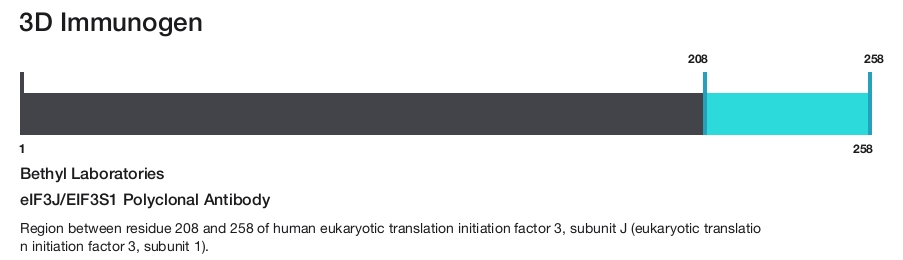 eIF3J/EIF3S1 Polyclonal Antibody