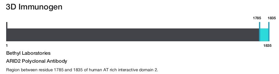 ARID2 Polyclonal Antibody