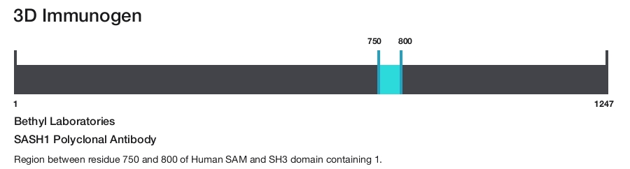SASH1 Polyclonal Antibody