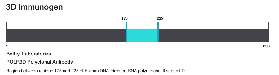 POLR3D Polyclonal Antibody
