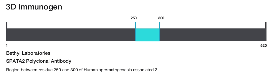 SPATA2 Polyclonal Antibody