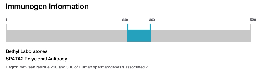 SPATA2 Polyclonal Antibody