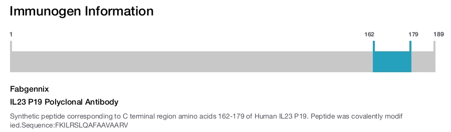 IL23 P19 Polyclonal Antibody