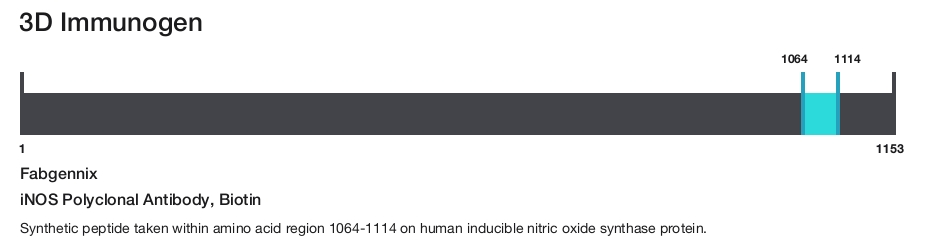 iNOS Polyclonal Antibody, Biotin