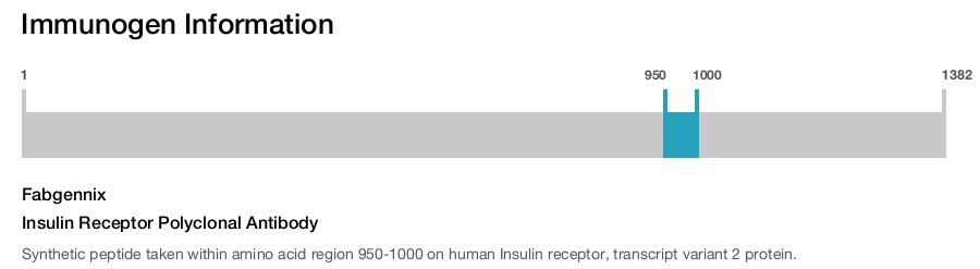 Insulin Receptor Polyclonal Antibody