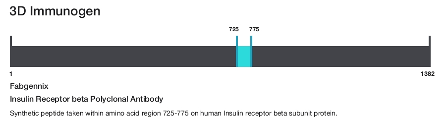 Insulin Receptor beta Polyclonal Antibody