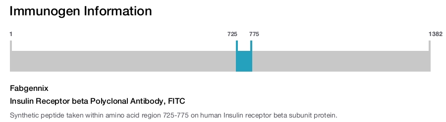 Insulin Receptor beta Polyclonal Antibody, FITC