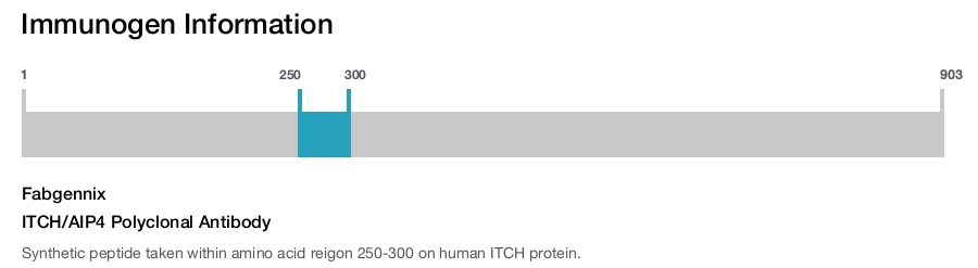 ITCH/AIP4 Polyclonal Antibody