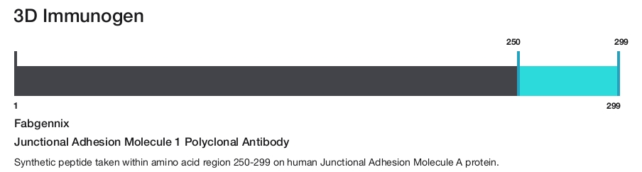 Junctional Adhesion Molecule 1 Polyclonal Antibody