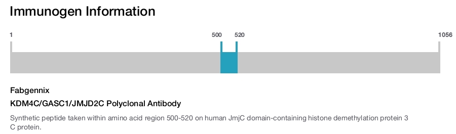 KDM4C/GASC1/JMJD2C Polyclonal Antibody