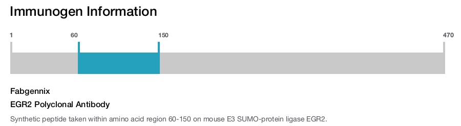 EGR2 Polyclonal Antibody