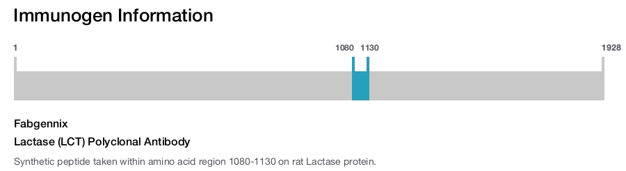 Lactase (LCT) Polyclonal Antibody