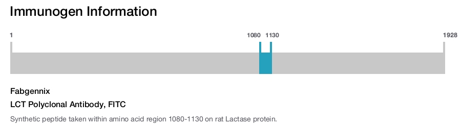 LCT Polyclonal Antibody, FITC