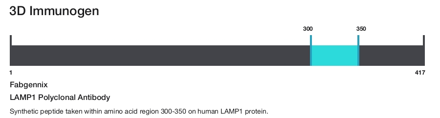 LAMP1 Polyclonal Antibody
