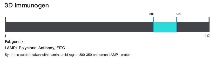 LAMP1 Polyclonal Antibody, FITC