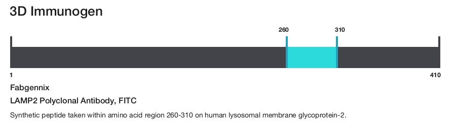 LAMP2 Polyclonal Antibody, FITC