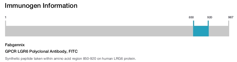 GPCR LGR6 Polyclonal Antibody, FITC