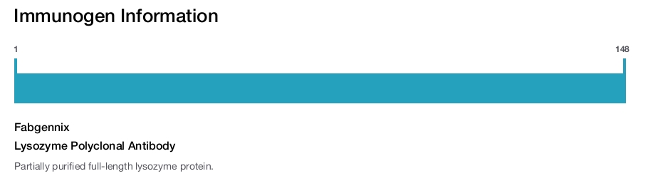 Lysozyme Polyclonal Antibody