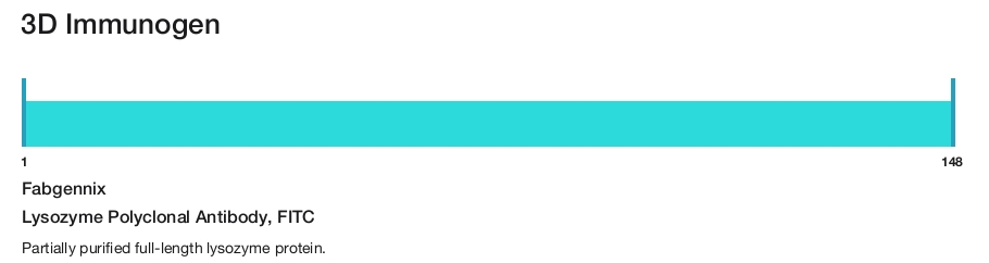 Lysozyme Polyclonal Antibody, FITC