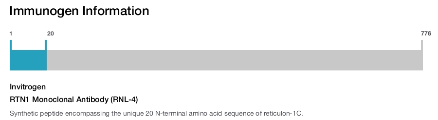RTN1 Monoclonal Antibody (RNL-4)