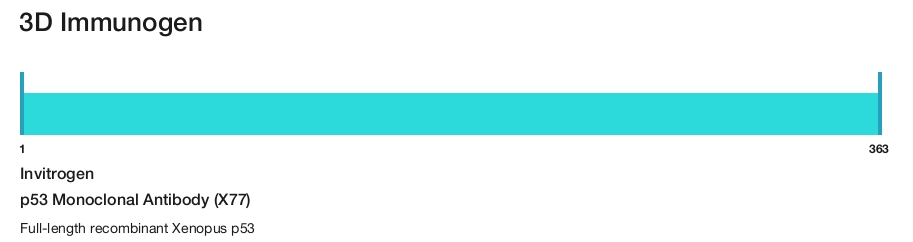 p53 Monoclonal Antibody (X77)