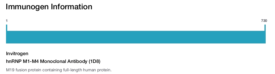 hnRNP M1-M4 Monoclonal Antibody (1D8)